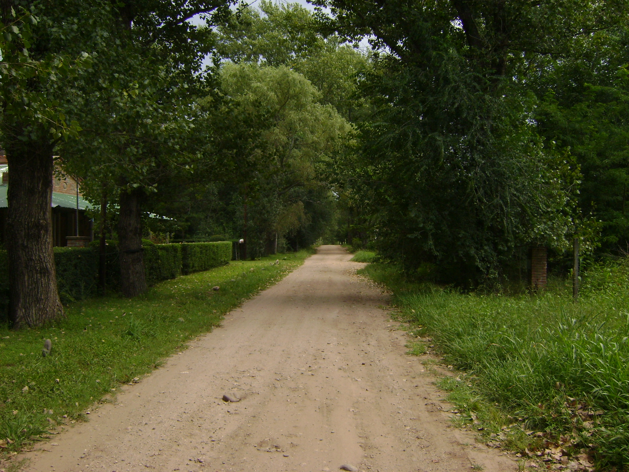 fotos/2011 - Los Reartes/DSC03239.JPG